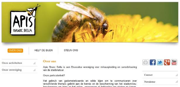 thumbnail - Apis Bruoc Sella